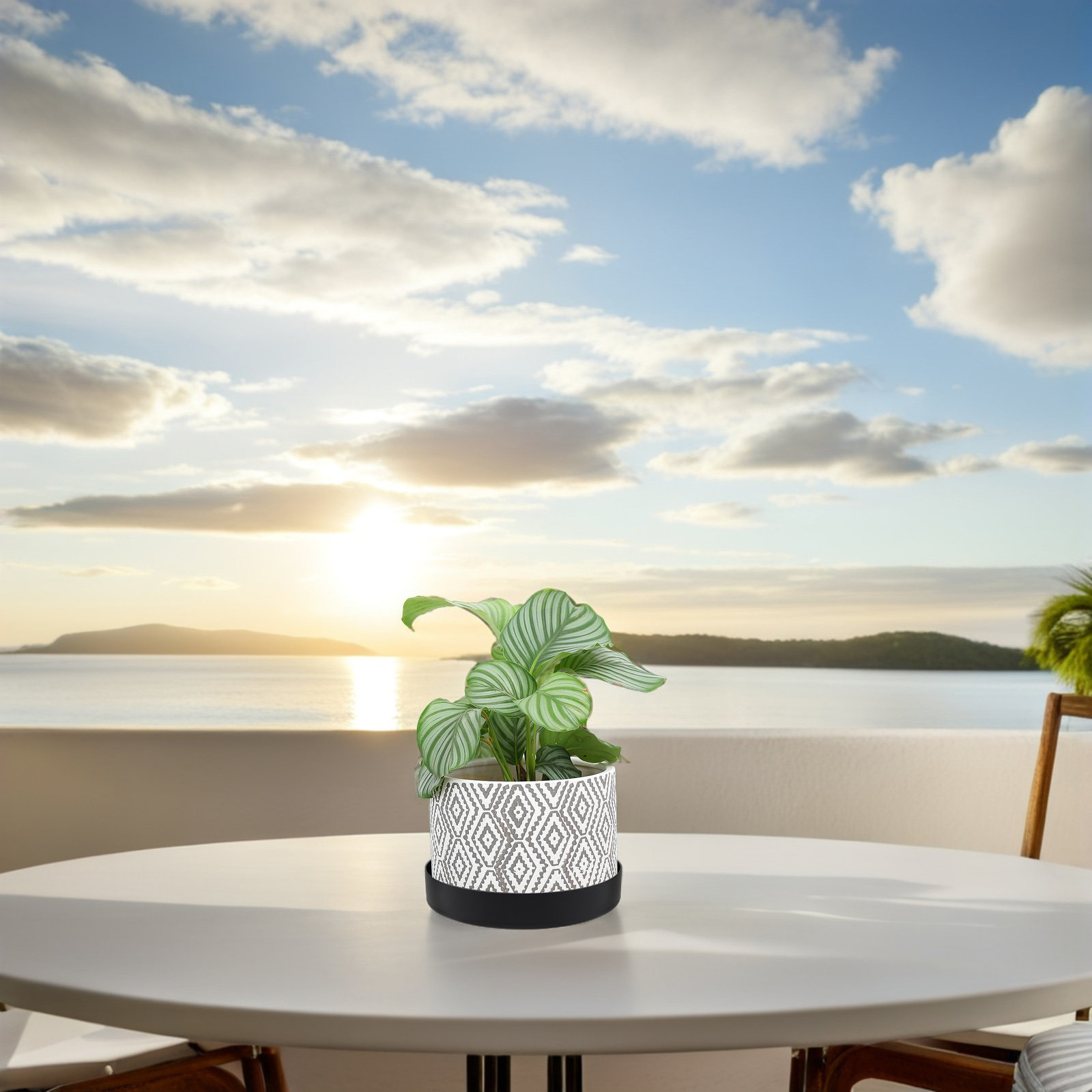 Robuuste roestvrijstalen bloem - Drip Tray Saucer recensie en prijs