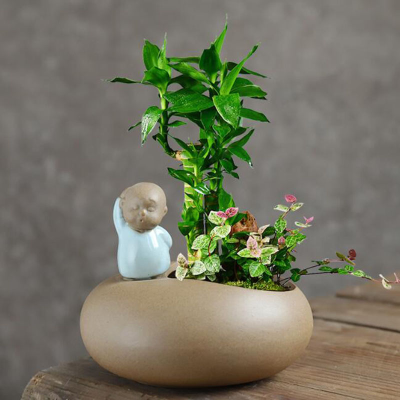 Chinese Stijl Retro Keramische - Bonsai Garden Art recensie en prijs
