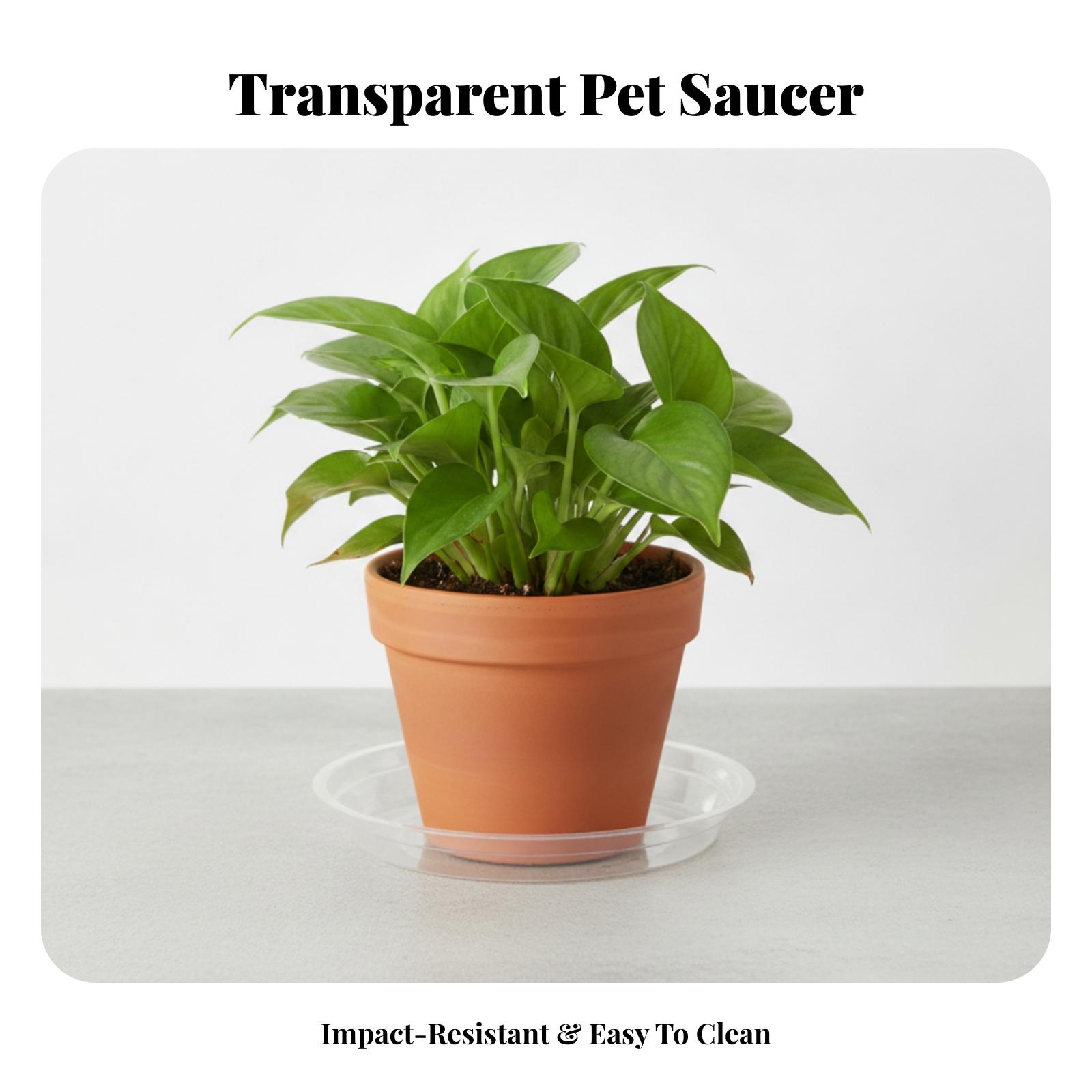 Ronde, transparante PET-plasti - Drip Tray Saucer recensie en prijs